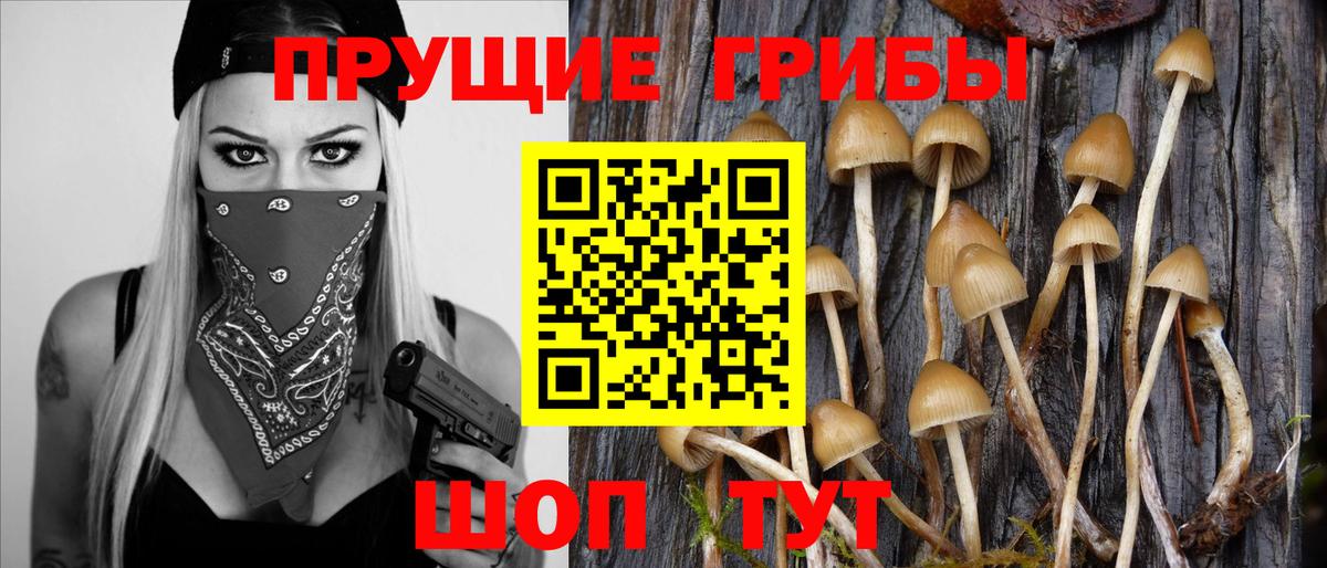 Шатура  Псилоцибиновые грибы Magic Shrooms  Вход с VPN 